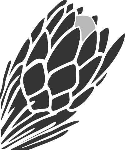 Aristata protea logo